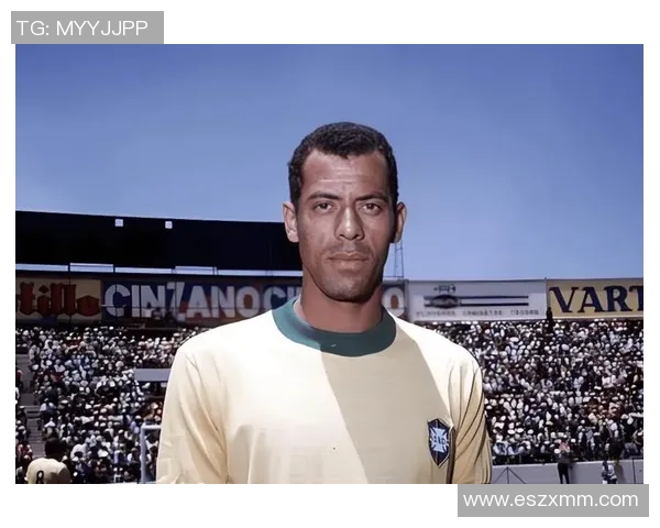 十位足球明星的传奇故事与辉煌成就揭秘，谁将成为你心中的球场英雄