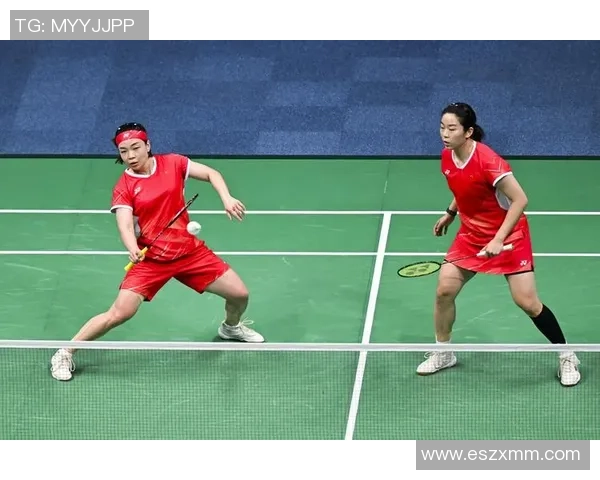 杭州羽毛球队进攻策略分析与比赛表现评估 杭州羽毛球队进攻策略分析与比赛表现评估