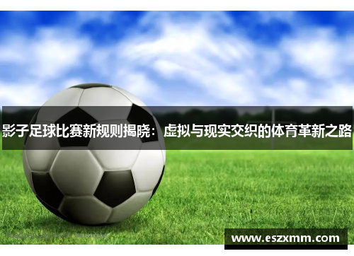 影子足球比赛新规则揭晓：虚拟与现实交织的体育革新之路